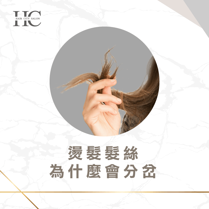 燙髮髮絲為什麼會分岔-台中燙髮推薦